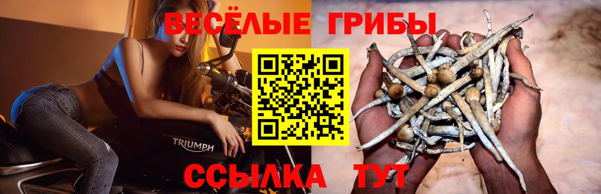 Псилоцибиновые грибы MAGIC MUSHROOMS  Вход с VPN  Кимры 